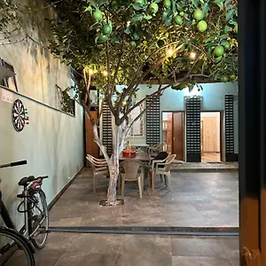 hostel-lemon-breeze.albaniahotels.org/